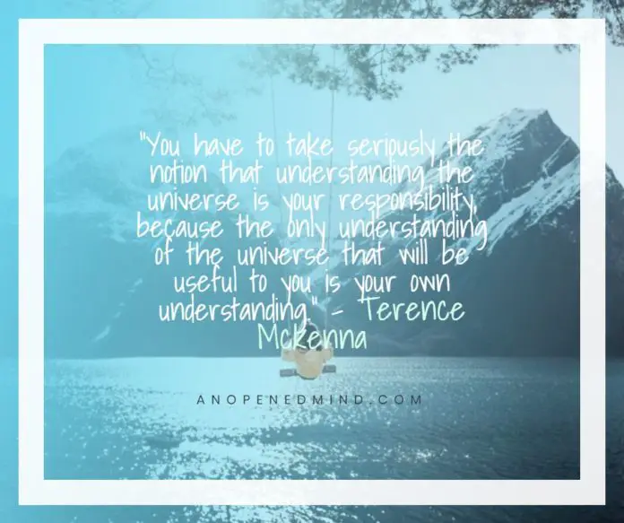 Terence Mckenna Quotation