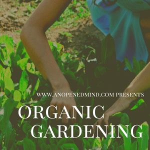 Ebook Organic Gardening Cover 1